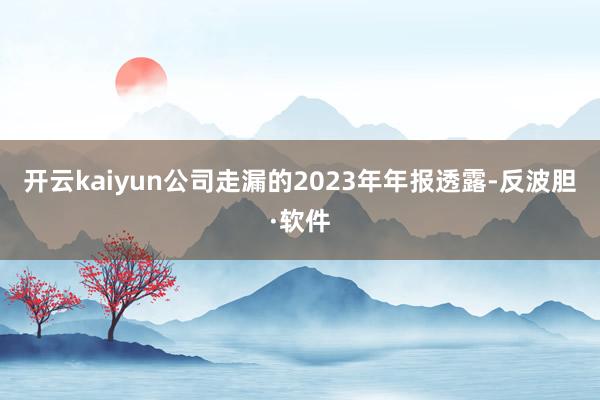 开云kaiyun公司走漏的2023年年报透露-反波胆·软件