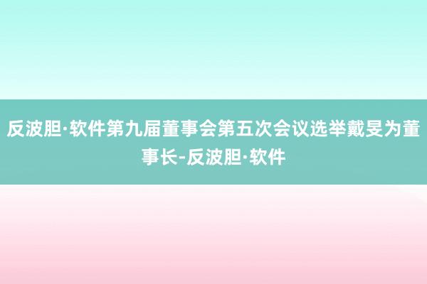 反波胆·软件第九届董事会第五次会议选举戴旻为董事长-反波胆·软件