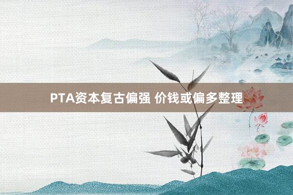 PTA资本复古偏强 价钱或偏多整理