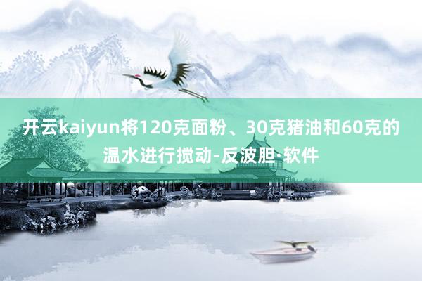 开云kaiyun将120克面粉、30克猪油和60克的温水进行搅动-反波胆·软件