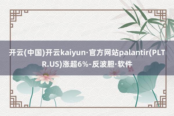 开云(中国)开云kaiyun·官方网站palantir(PLTR.US)涨超6%-反波胆·软件