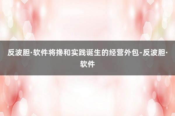 反波胆·软件将搀和实践诞生的经营外包-反波胆·软件