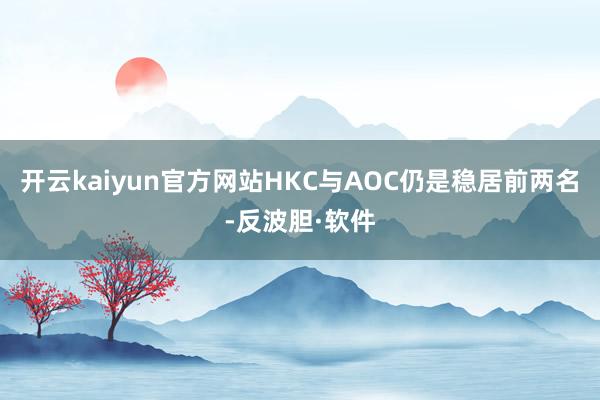 开云kaiyun官方网站HKC与AOC仍是稳居前两名-反波胆·软件