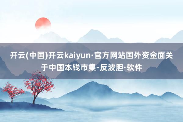 开云(中国)开云kaiyun·官方网站国外资金面关于中国本钱市集-反波胆·软件