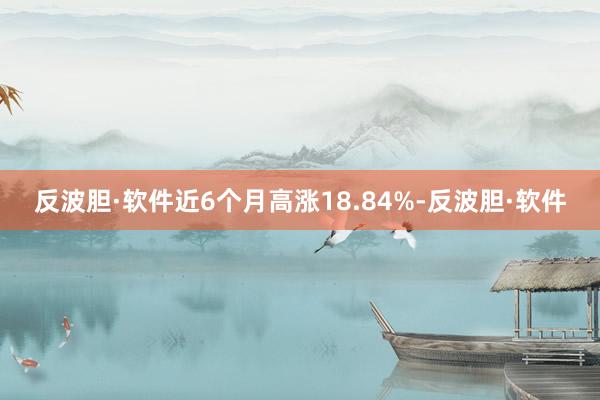 反波胆·软件近6个月高涨18.84%-反波胆·软件