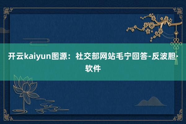 开云kaiyun图源：社交部网站毛宁回答-反波胆·软件