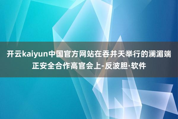 开云kaiyun中国官方网站在吞并天举行的澜湄端正安全合作高官会上-反波胆·软件