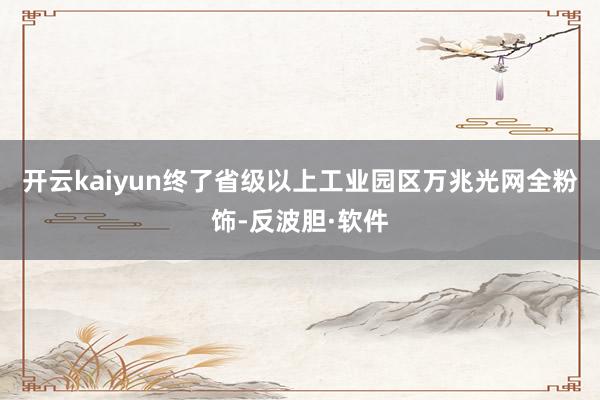 开云kaiyun终了省级以上工业园区万兆光网全粉饰-反波胆·软件